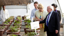 Pictured is President Michael D Higgins and his wife Sabina and Minister Sean Sherlock TD, Minister for Development , Trade Promotion and North-South Cooperation in the 'seed multiplication green house' during their visit to the Tigray Agriculture Research Institute in Mekelle. Photo Chris Bellew / Copyright Fennell Photography 2014