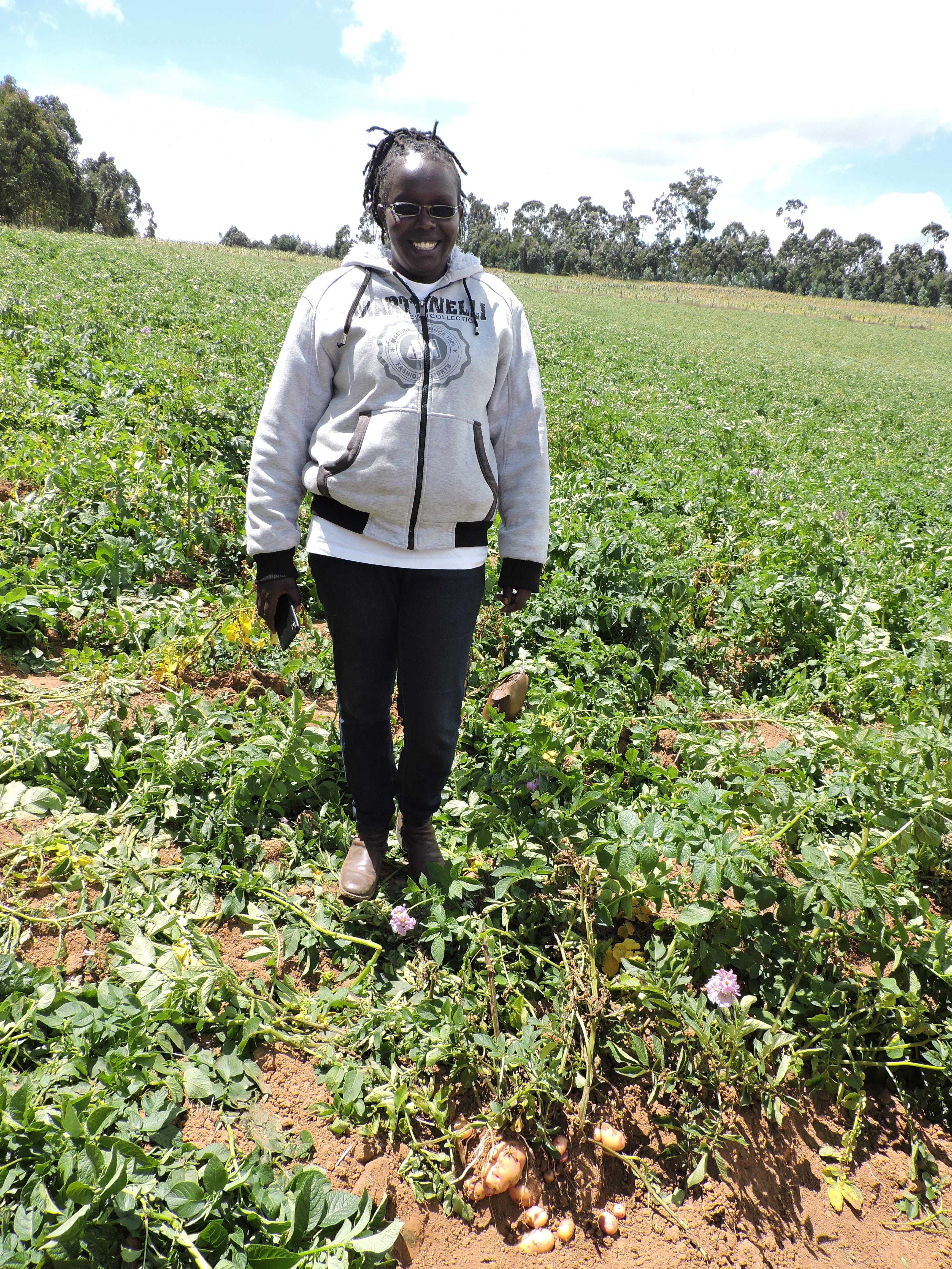 Farmers benefitting from Irish Aid support to potato farming in Nyandarua County, Kenya